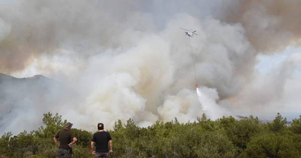 Foça'da orman yangınından kareler