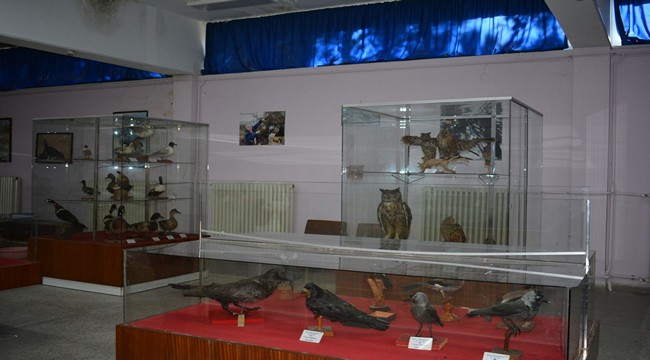2022/01/1643303998_ege_Universitesi_tabiat_tarihi_muzesi-_ziyaretcilerini_doga_tarihinin_buyulu_dunyasi_ile_bulusturuyor_-9.jpg