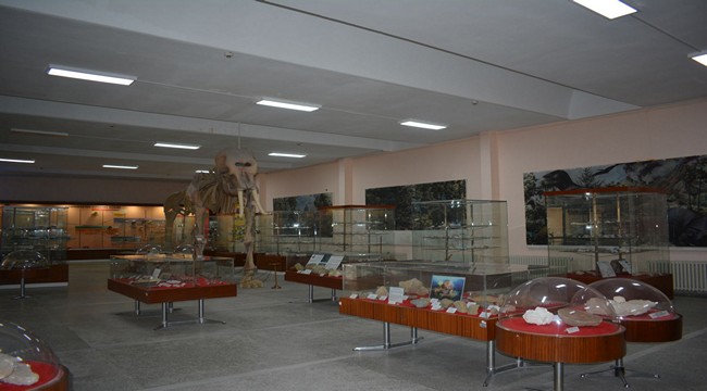 2022/01/1643303999_ege_Universitesi_tabiat_tarihi_muzesi-_ziyaretcilerini_doga_tarihinin_buyulu_dunyasi_ile_bulusturuyor_-7.jpg