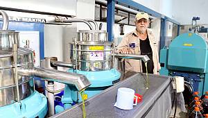 Foça'da Zeytin Sıkımı Başladı