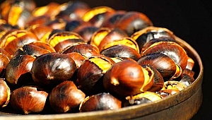 Gribe yakalanmamak için kestane yiyin!