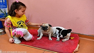 İzmir'de hayvan barınağını bir yılda 1825 öğrenci ziyaret etti 