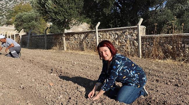 Karaburun'da "yerli tohum ve doğru tarım" dönemi  