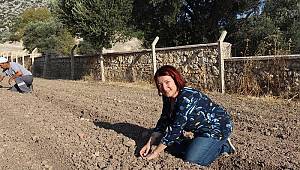 Karaburun'da "yerli tohum ve doğru tarım" dönemi  