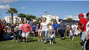 Karşıyaka'da renkli festival!  