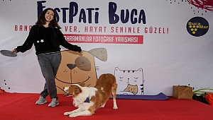 Sevginin festivali: FestPati  