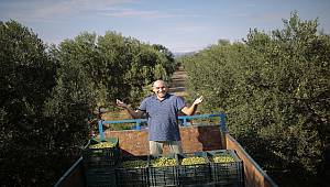 Zeytinciden 400 bin teşekkür 