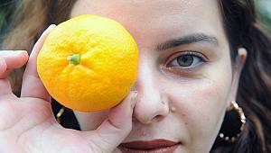 Hafta sonu Seferihisar'da Mandalina Şenliği var  