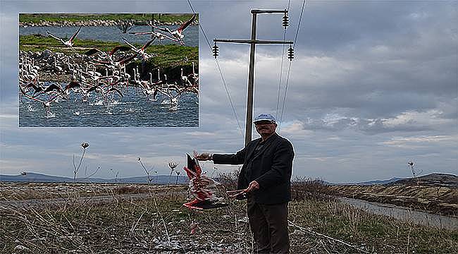 İzmir Kuş Cenneti'ndeki ölümler Meclis gündeminde  
