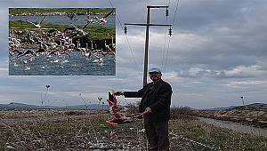 İzmir Kuş Cenneti'ndeki ölümler Meclis gündeminde  