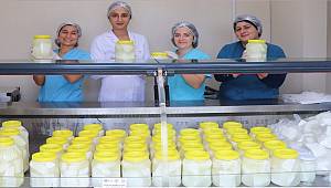 Karaburun'un Keçi Peyniri üreticiye para,  tüketiciye sağlık kazandırıyor 