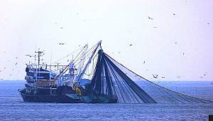 Su Ürünleri Kanunu'nda mutlu sona ulaşıldı 