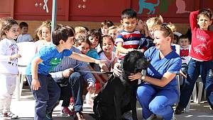 Can dostlar Bayraklı'da güvende  