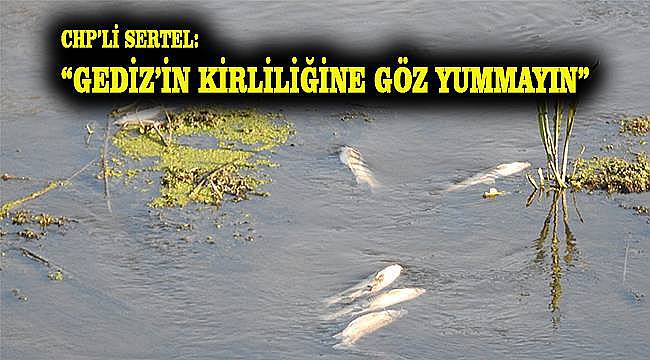 Gediz Nehri'ndeki "balık ölümleri" yeniden TBMM gündeminde 