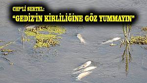 Gediz Nehri'ndeki "balık ölümleri" yeniden TBMM gündeminde 