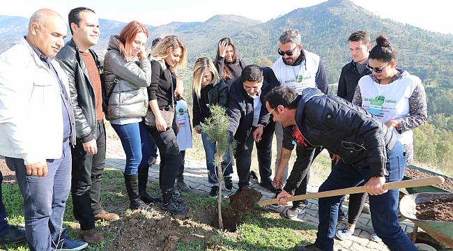 Gönüllülerden fidan seferberliği 