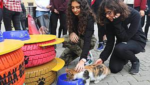 Konaklı öğrencilerin hayvan sevgisi 