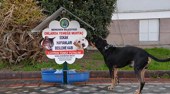 Menemen Belediyesi'nden can dostlar için örnek proje  