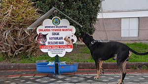 Menemen Belediyesi'nden can dostlar için örnek proje  