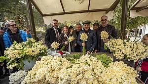 3. Karaburun Nergis Festivali yapıldı 