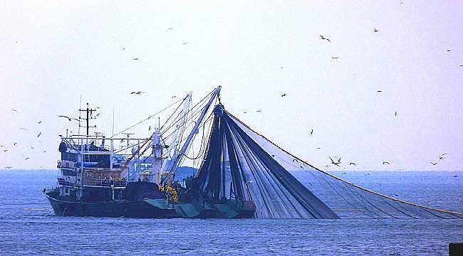 Balıkçılık sektöründe yeni bir sayfa açıldı 