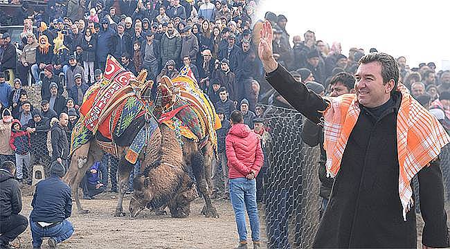 Bergama Deve Güreşi Festivali'ne yoğun ilgi!