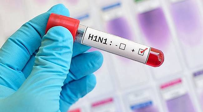 Domuz gribi tedavisinde ilk 48 saat önemli
