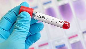 Domuz gribi tedavisinde ilk 48 saat önemli 