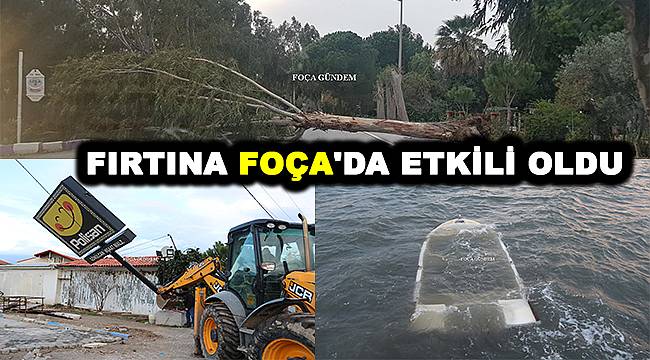 Foça'da Fırtına Ağaçları Devirdi Tekneleri Batırdı 