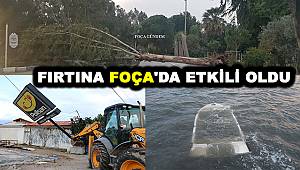 Foça'da Fırtına Ağaçları Devirdi Tekneleri Batırdı 