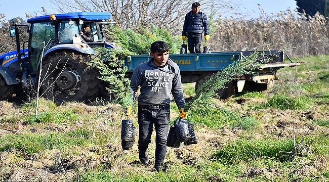 İZSU'dan Tahtalı Havzası'na 1 milyon 109 bin fidan 