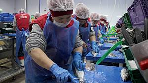 Kılıç, Rusya'ya ihracata devam ediyor 