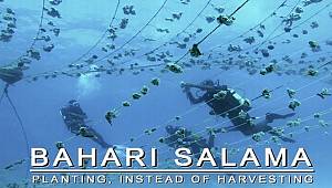 Foça Film Günleri -- 2019'un En İyileri...