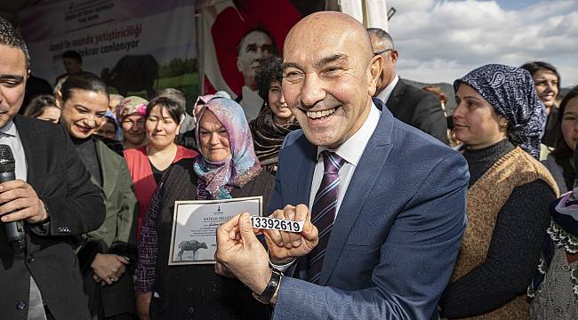 İzmir Büyükşehir'den manda yetiştiriciliğine destek 
