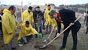 Karşıyaka'da 15 bin 500 fidan toprağa kavuştu 