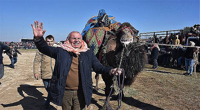 Kemalpaşa'da pehlivan develer sahaya indi  