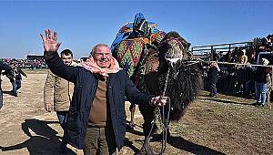 Kemalpaşa'da pehlivan develer sahaya indi