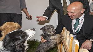 Bu fuar can dostlarımız için 