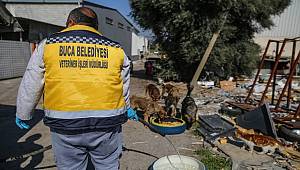 Buca Belediyesi'nden Mama Kabı Seferberliği