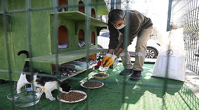 Can dostlar Karşıyaka Belediyesi'ne emanet 