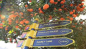 Efes Selçuk'ta tabela devrimi