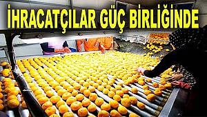 İhracatçılar için tüm imkanlar seferber ediliyor 