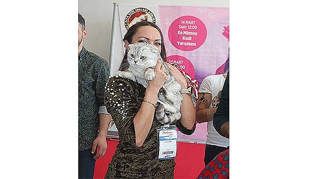 PET İzmir'de kedilerin enleri seçildi  
