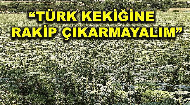 Türk kekiğini yabancı ota kurban etmeyelim 