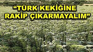 Türk kekiğini yabancı ota kurban etmeyelim 
