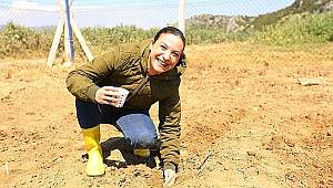 Bereketli toprakların lezzeti Efes Tarlası'nda yeniden hayat buluyor