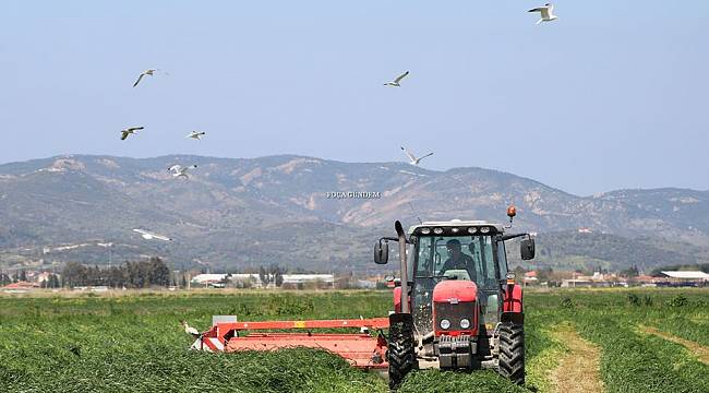  Foçalı çiftçi, hem ekim, hem de hasat için tarlada  