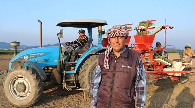 Foçalı Çiftçiler Korona'dan Sonra Gıda Sıkıntısı Olmasın Diye Tarlada  
