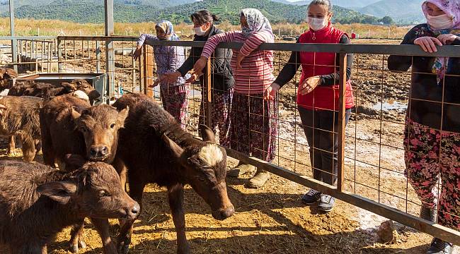 İzmir'de Bahar bereketi