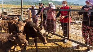 İzmir'de Bahar bereketi